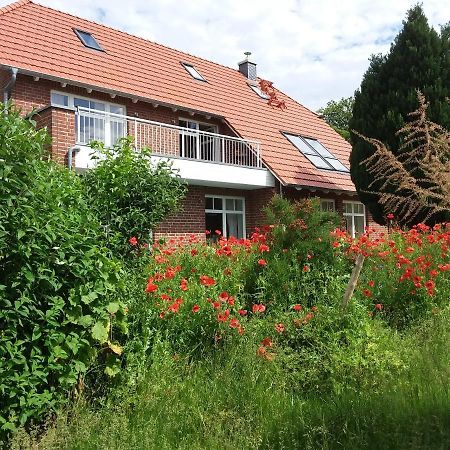 Haus Rosengarten- Ruhige Ferienwohnungen Im Gruenen Sehlen Zewnętrze zdjęcie