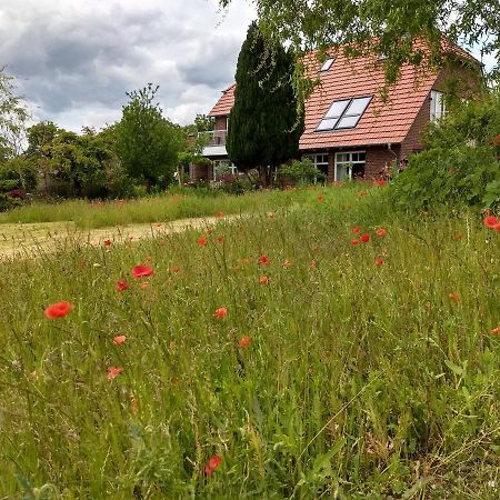 Haus Rosengarten- Ruhige Ferienwohnungen Im Gruenen Sehlen Zewnętrze zdjęcie