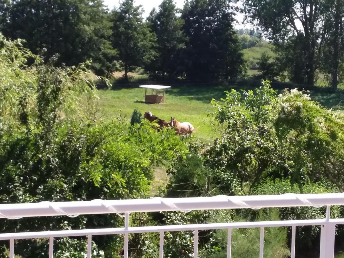 Haus Rosengarten- Ruhige Ferienwohnungen Im Gruenen Sehlen Zewnętrze zdjęcie