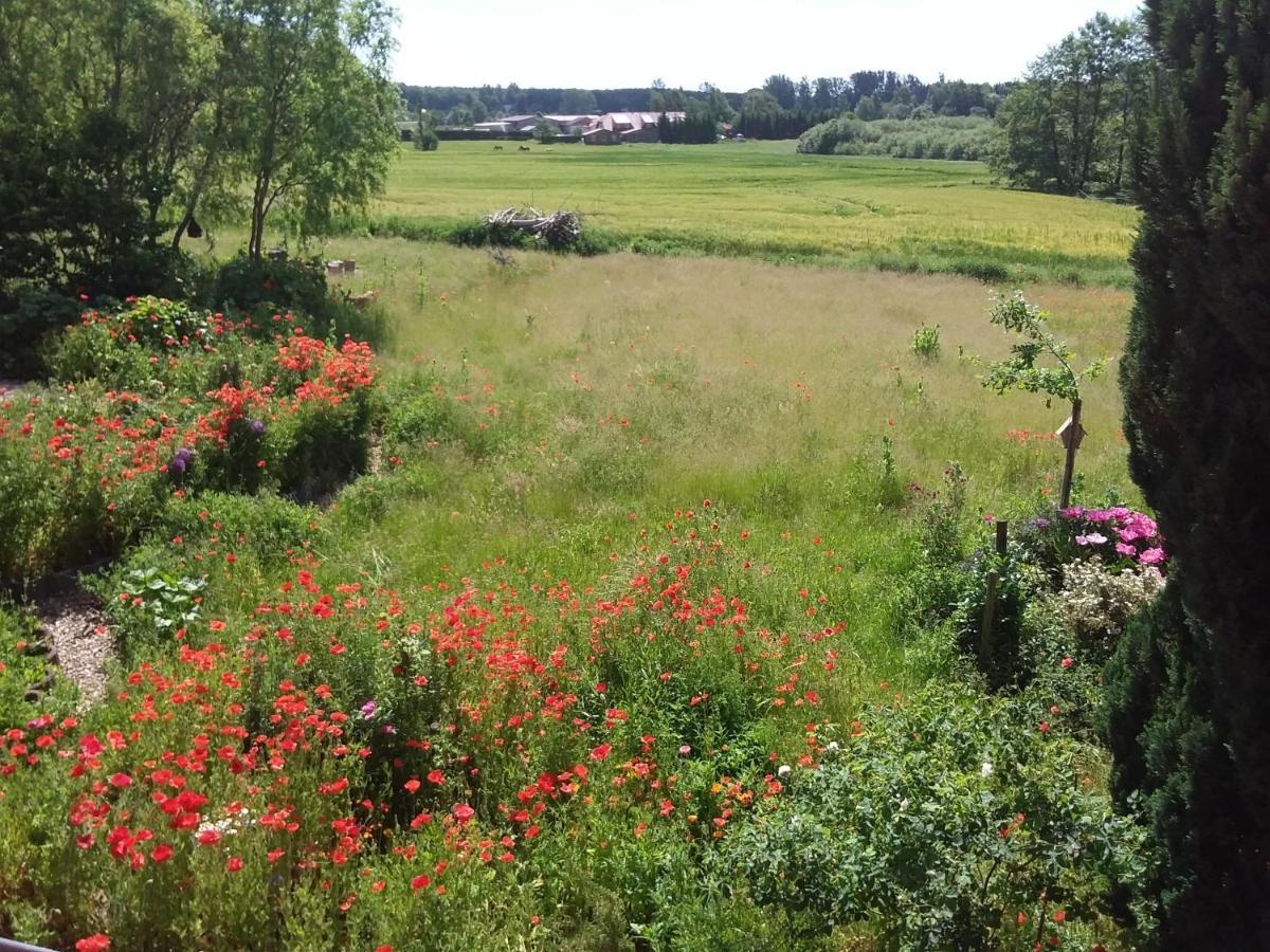 Haus Rosengarten- Ruhige Ferienwohnungen Im Gruenen Sehlen Zewnętrze zdjęcie