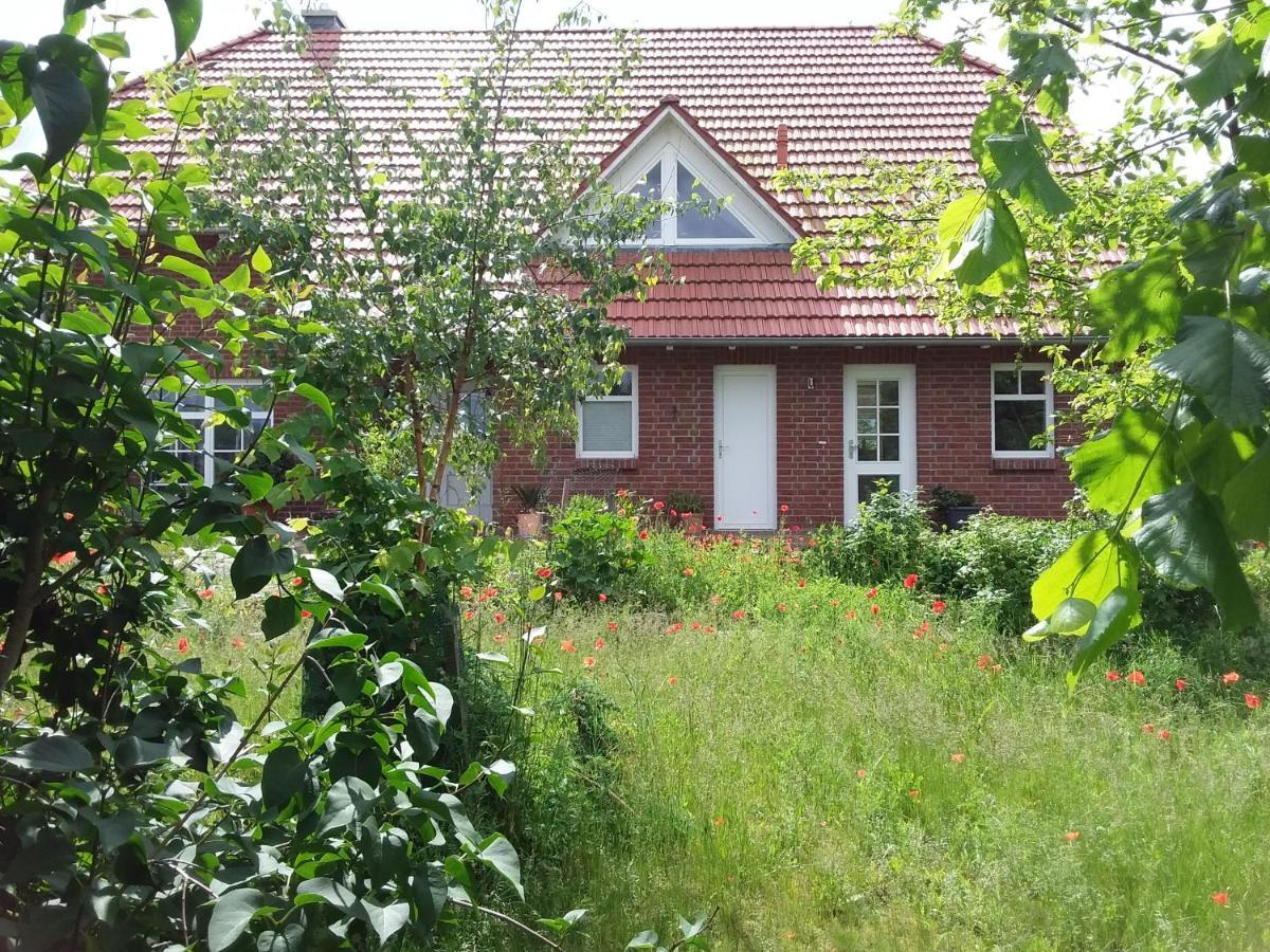 Haus Rosengarten- Ruhige Ferienwohnungen Im Gruenen Sehlen Zewnętrze zdjęcie