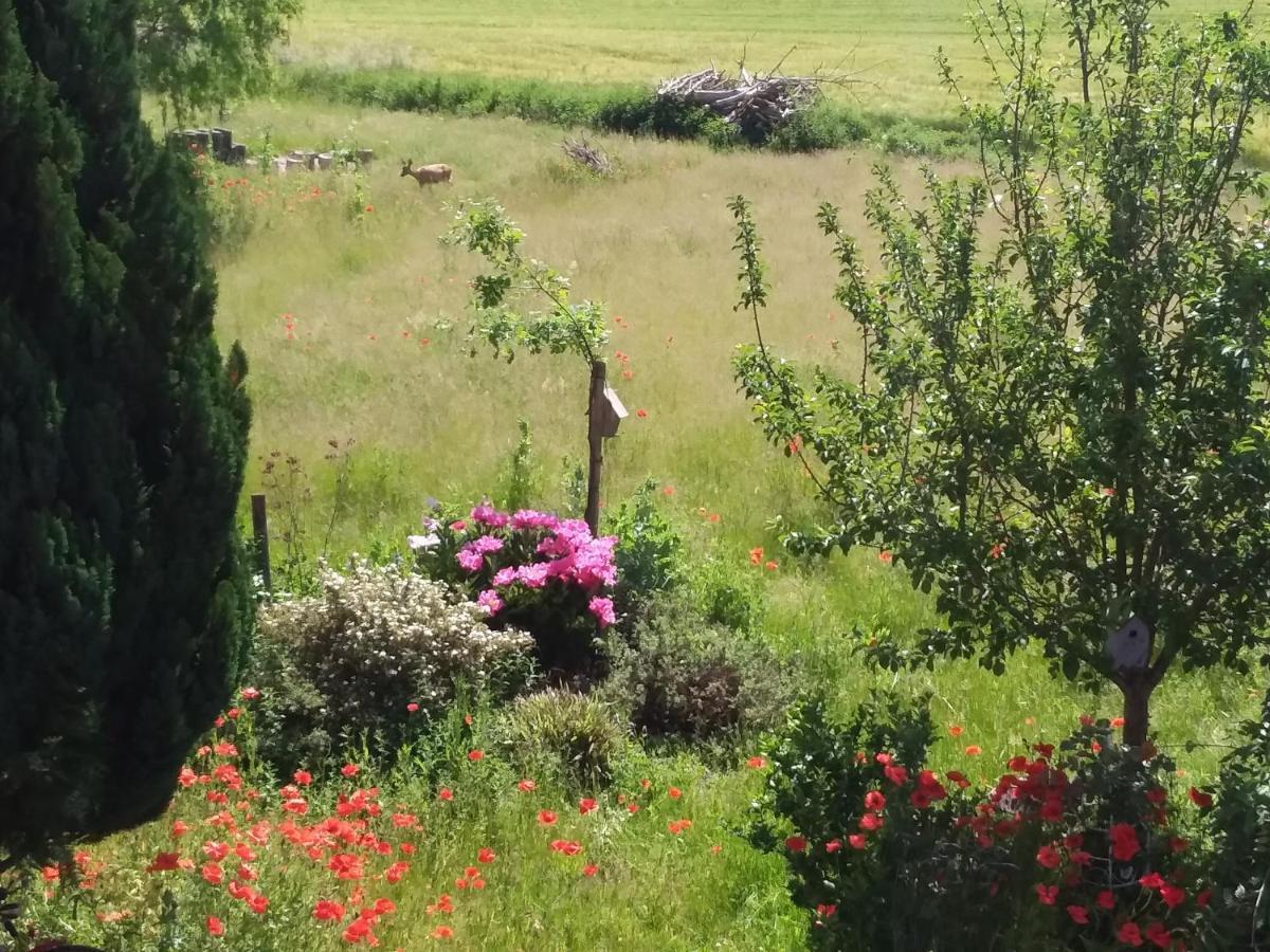 Haus Rosengarten- Ruhige Ferienwohnungen Im Gruenen Sehlen Zewnętrze zdjęcie