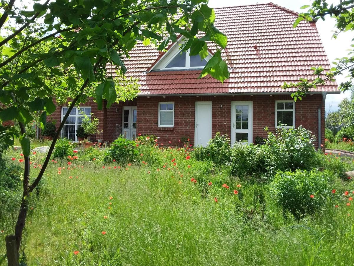 Haus Rosengarten- Ruhige Ferienwohnungen Im Gruenen Sehlen Zewnętrze zdjęcie
