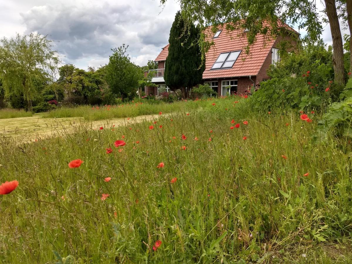 Haus Rosengarten- Ruhige Ferienwohnungen Im Gruenen Sehlen Zewnętrze zdjęcie